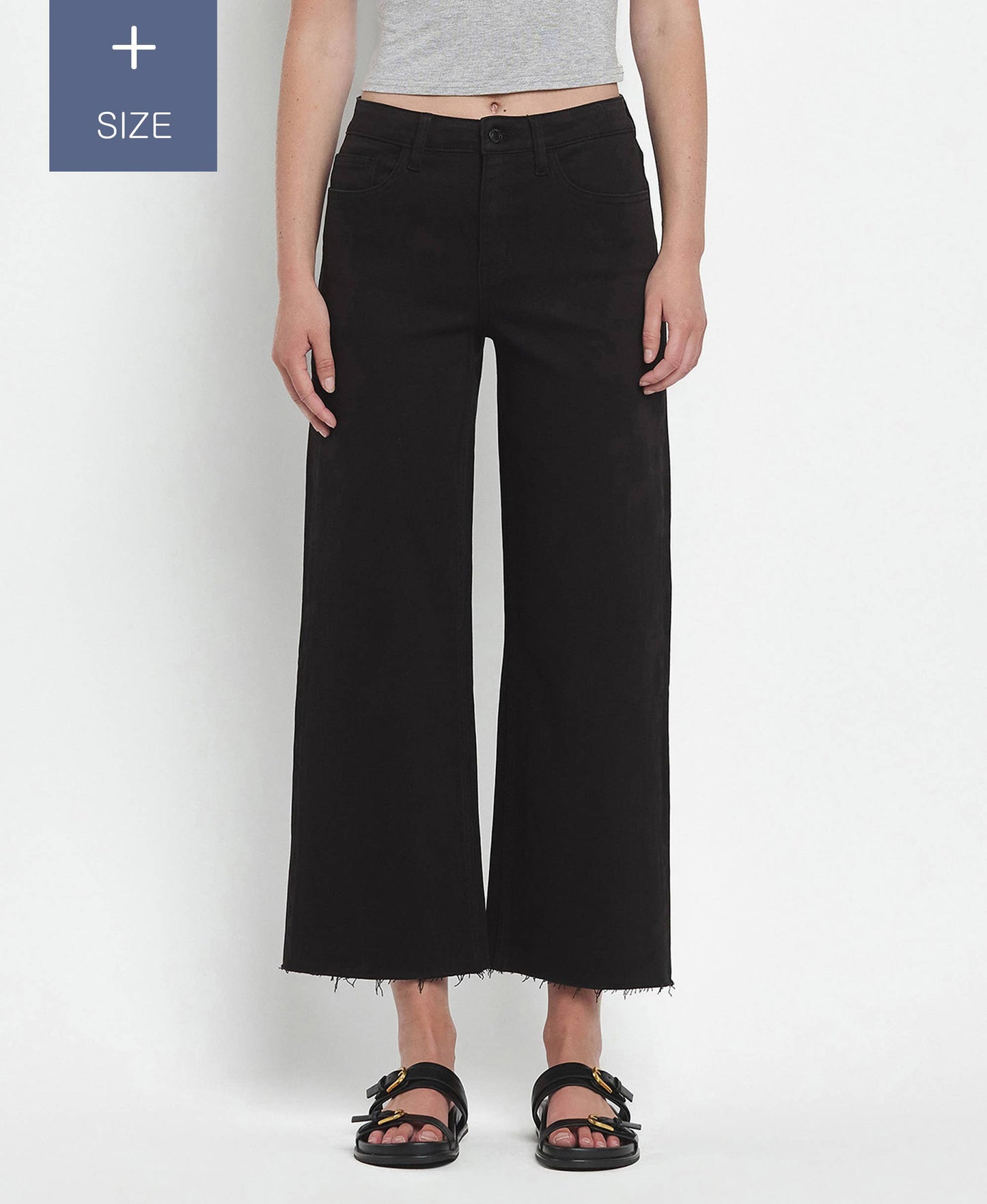 PLUS SIZE HIGH RISE CROP WIDE LEG JEANS T5894BK-P