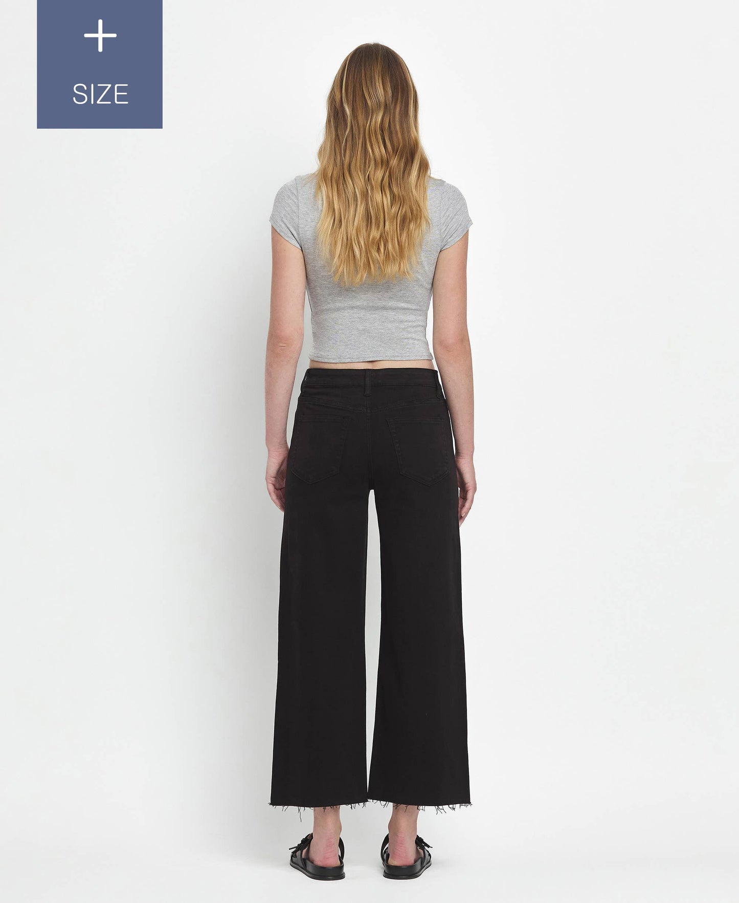 PLUS SIZE HIGH RISE CROP WIDE LEG JEANS T5894BK-P